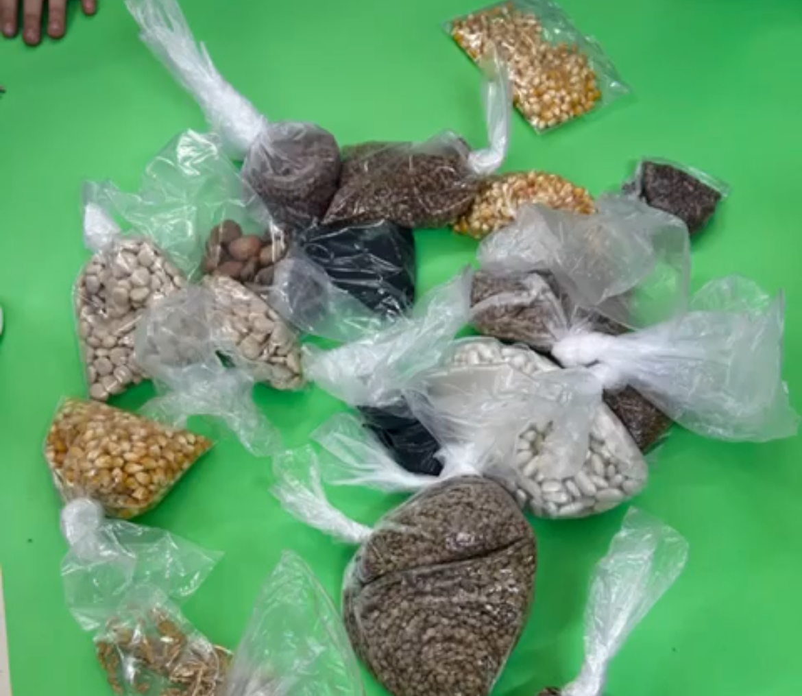 Seed Art